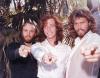 beegees-gibb335